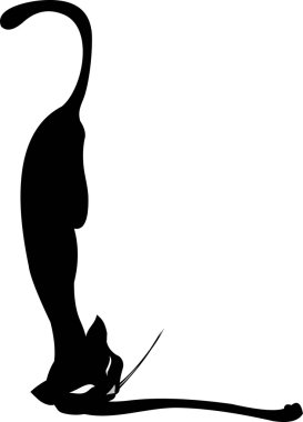 Black cat isolated on white clipart