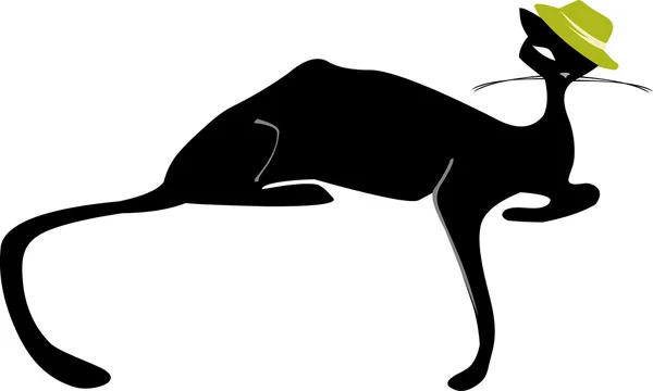 흰색으로 고립 된 검은 고양이 — 스톡 사진