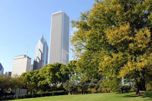 stock image Skyscrapers of Chicago