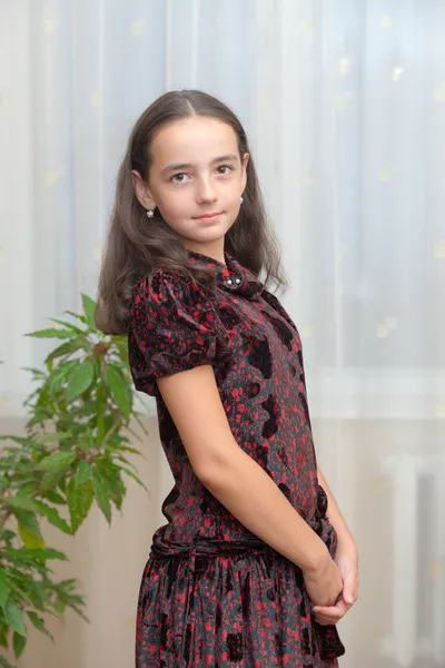 Porträtt av flickan — Stockfoto