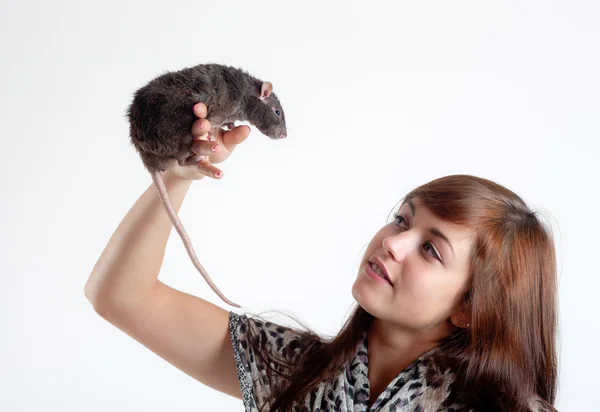 Rato em uma mão — Fotografia de Stock