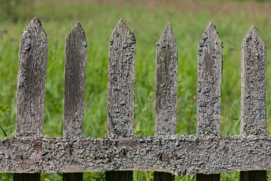 Old rural wooden fence