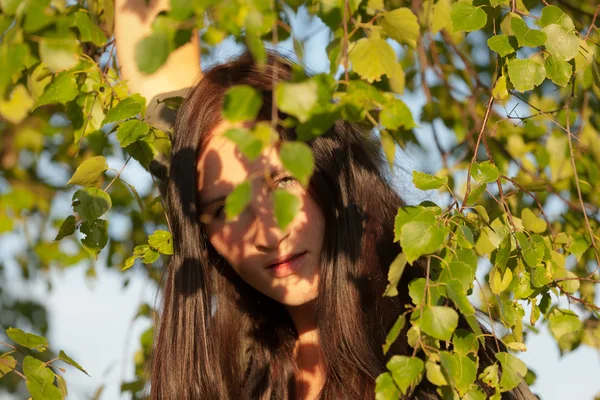 Huş ağacı yaprakları arasında kız — Stok fotoğraf