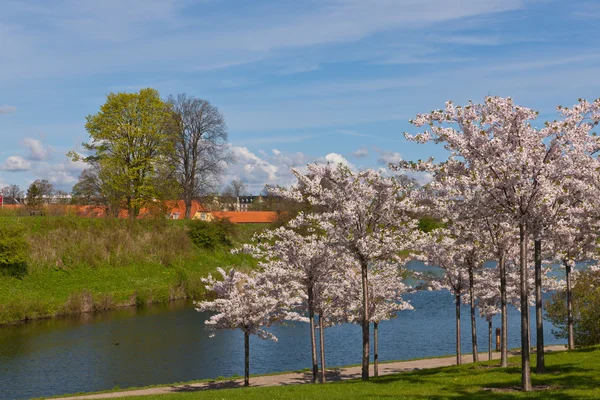 stock image City park