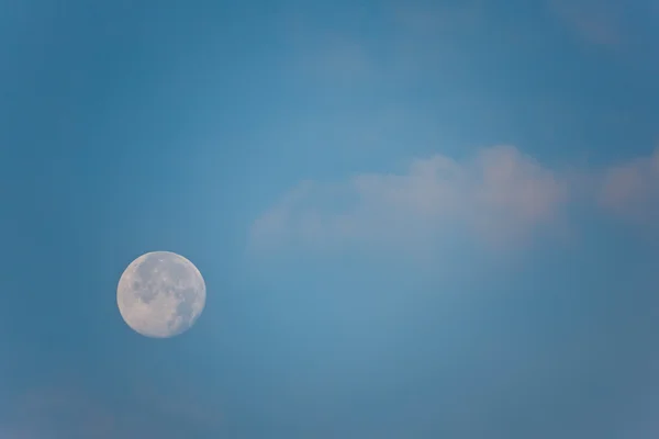 The full moon — Stock Photo, Image