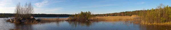 Деревянное озеро поздней осенью — стоковое фото