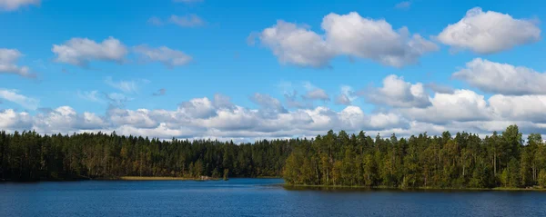 Panorama del lago di legno — Foto Stock