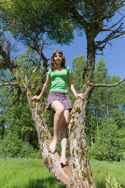 Portret dziewczyny na drzewie — Zdjęcie stockowe