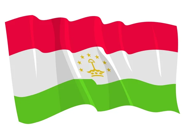 타지키스탄의 정치 깃발을 흔드는 모습 — 스톡 벡터