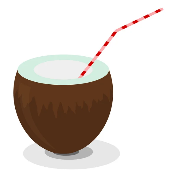 Illustration of coconut and a straw for cocktails — Stock Vector