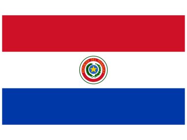 vektör çizim paraguay Cumhuriyeti bayrağı