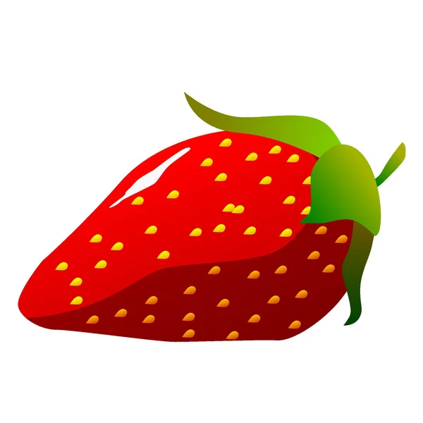 Aardbeien. vector — Stockvector