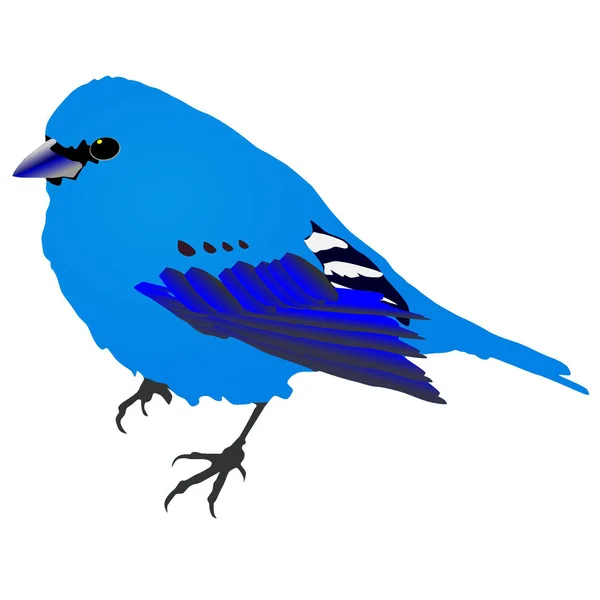 Vacker blå fågel. Vektor — Stock vektor