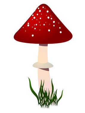 Amanita. vector clipart