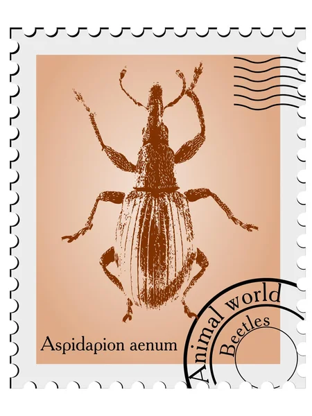 Vector stamp with a beetle — Stock Vector
