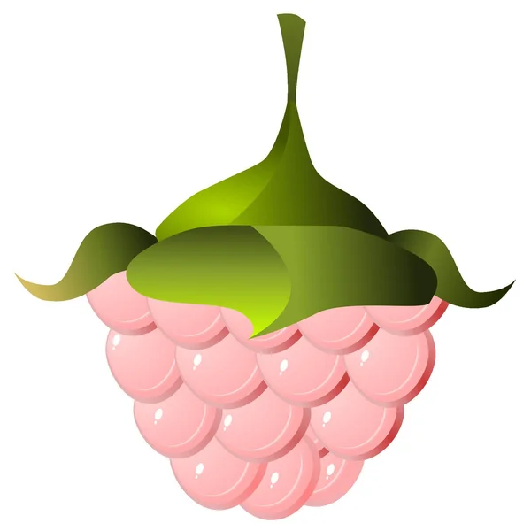 Vector image of raspberries — Stock Vector