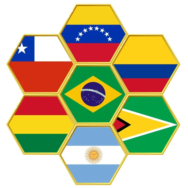 Vektor illustration av kammen med nationsflaggor — Stock vektor