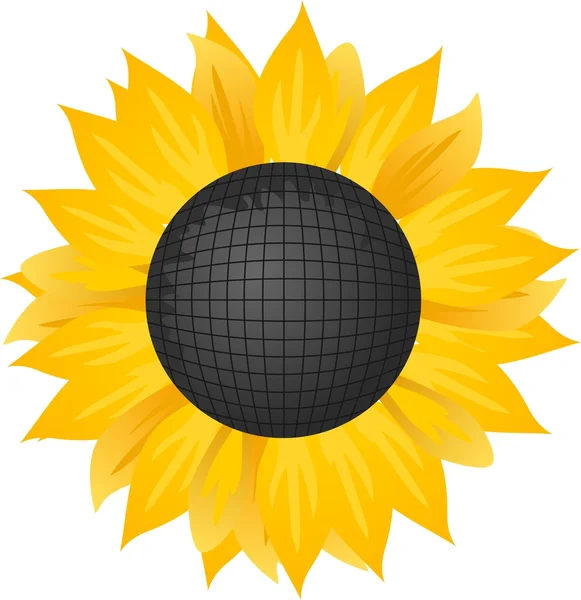 Векторна ілюстрація соняшнику . — стоковий вектор