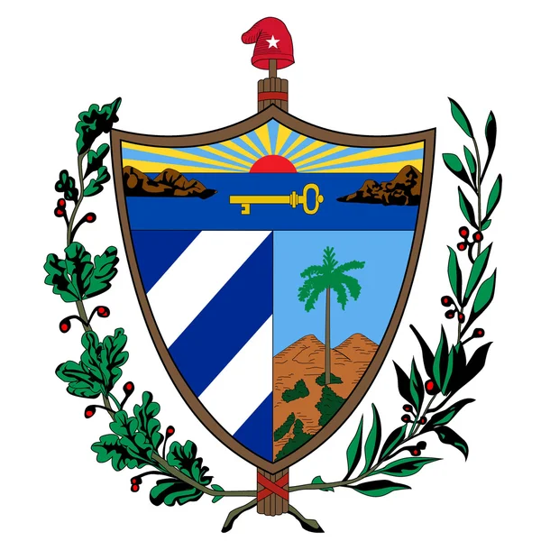 Vector illustration of the national coat of arms of Ñuba — Stock vektor