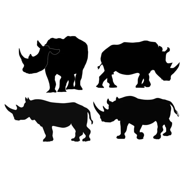 Collection of vector images of rhino — Stock Vector