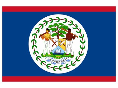 vectorillustratie van de vlag van belize