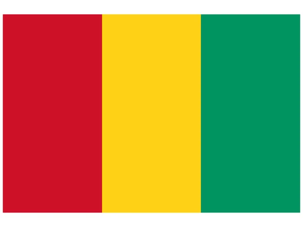 Illustration vectorielle du drapeau de Guinée — Image vectorielle
