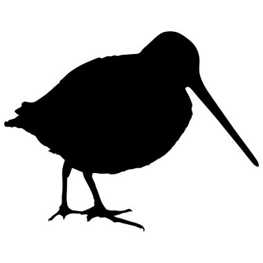Silhouette of a snipe clipart