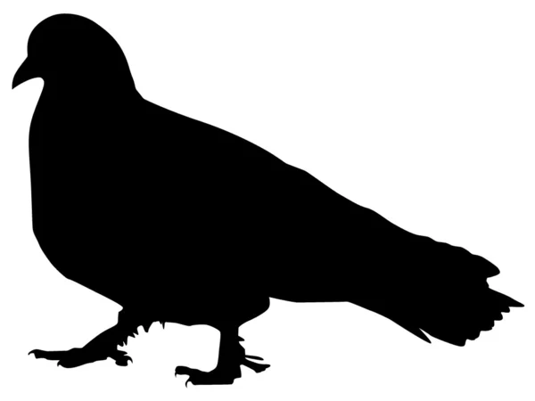 Silhouette of a pigeon — Stock Vector