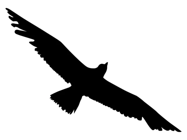 Silhuetten av en albatross — Stock vektor