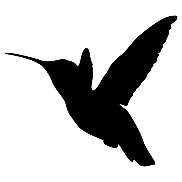 Silhouette di un colibrì — Vettoriale Stock