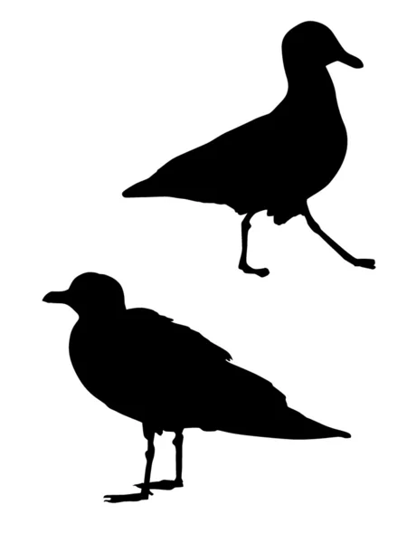 一只海鸥的剪影 — 图库矢量图片