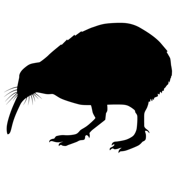 Silueta de un kiwi pájaro — Vector de stock