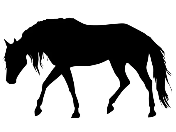 Silhouette di un cavallo — Vettoriale Stock