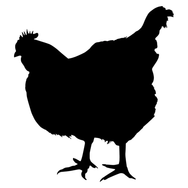 Silhouette of a chicken — Stock Vector