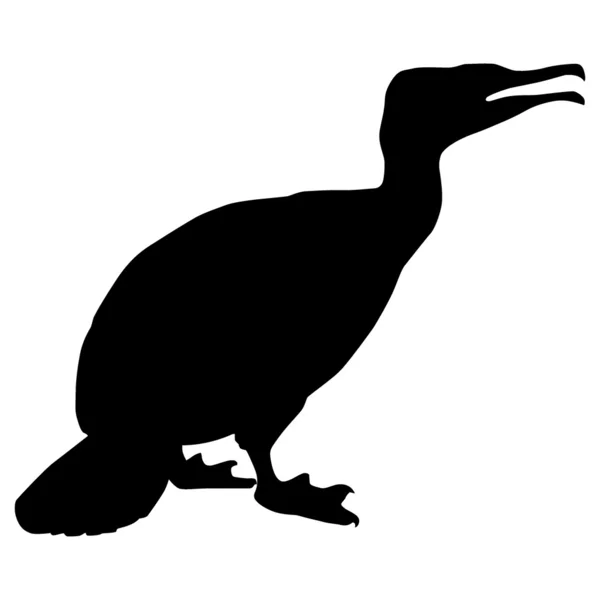 Silueta de cormoranes — Vector de stock