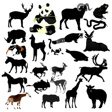 collection of vector animals clipart