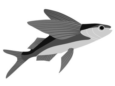 flying fish clipart