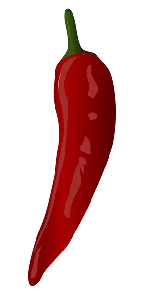 Vektor röd paprika — Stock vektor