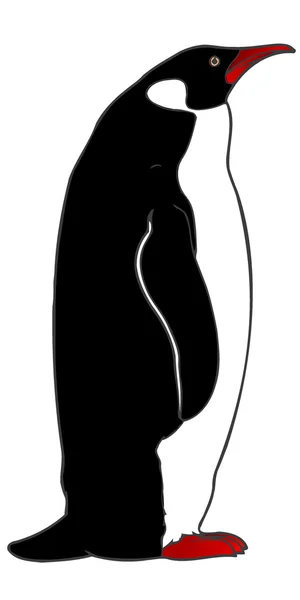 Pingüinos vector — Archivo Imágenes Vectoriales