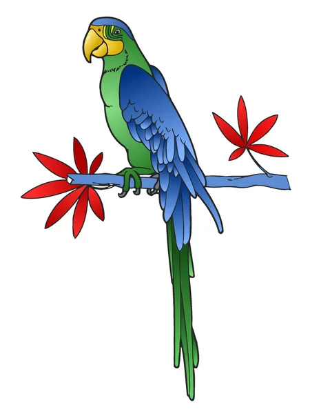 Papagaio — Vetor de Stock