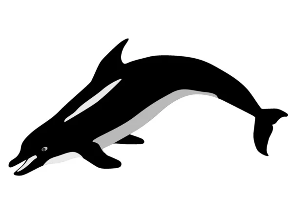 Vector dolphin — Stock Vector