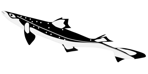 Vector shark katran — Stockvector