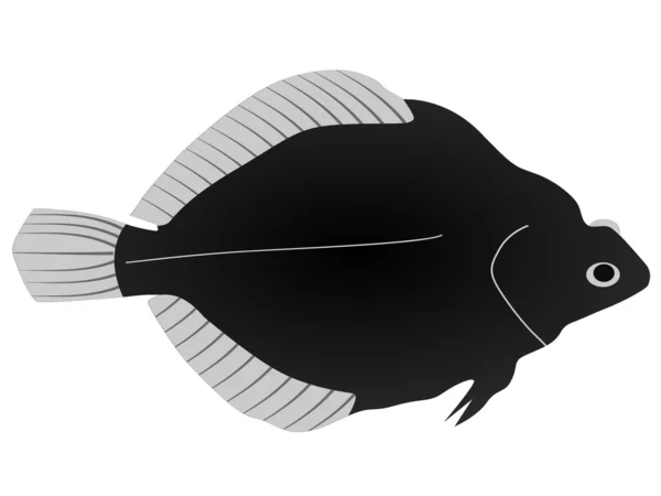 Flounder — Stock Vector