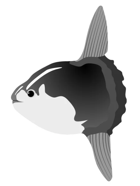 Güneş balığı — Stok Vektör
