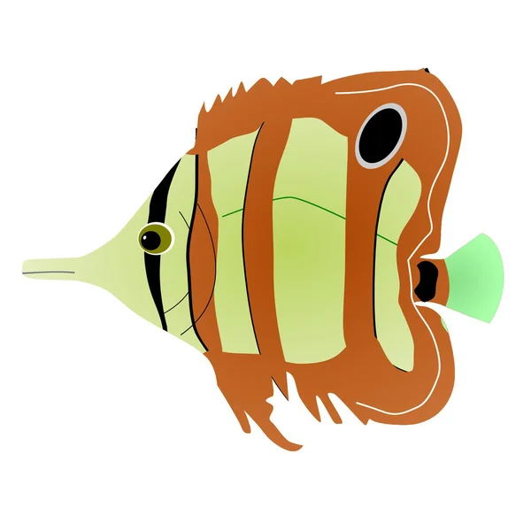 Риба-метелик — стоковий вектор
