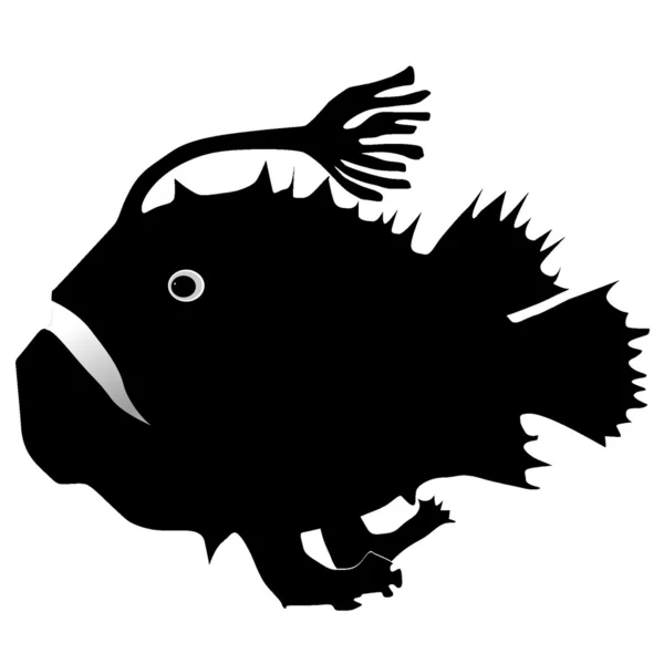 Anglerfish — Stock Vector