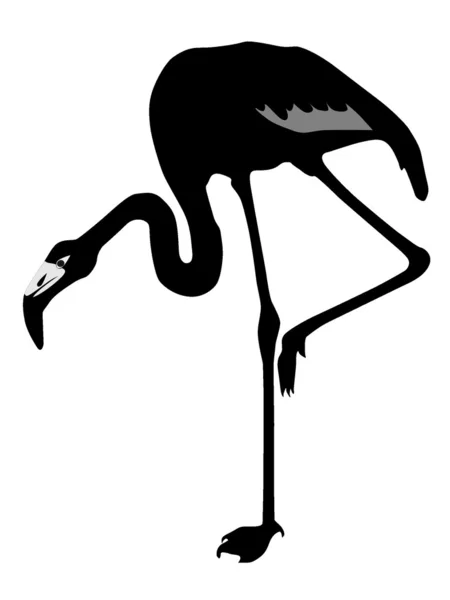 Sílhueta de vetor de um flamingo —  Vetores de Stock