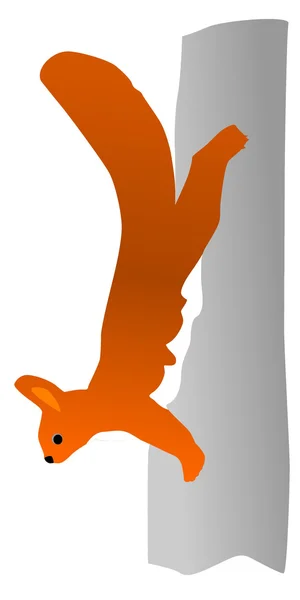 Écureuil dessinateur — Image vectorielle
