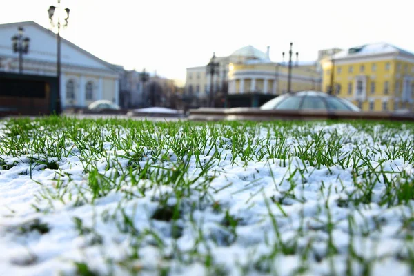 Stock image Grass and snow