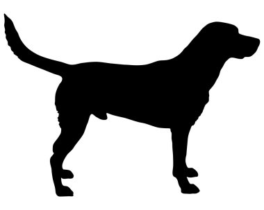 Labrador silhouette clipart